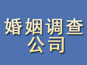 凤凰婚姻调查公司